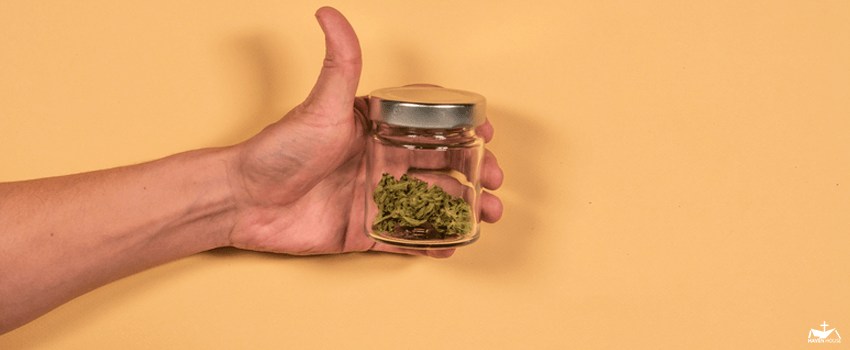 HHRC-A glass bank with fresh marijuana buds in the hands of a man