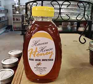 Haven House Recovery