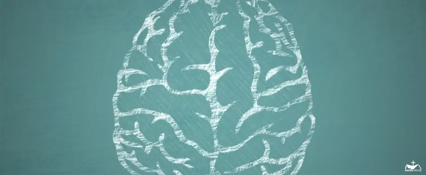 HHRC-illustration of brain